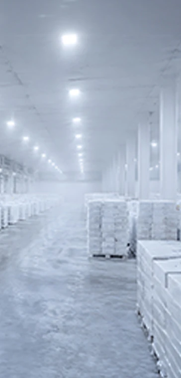 Cold Store Lighting