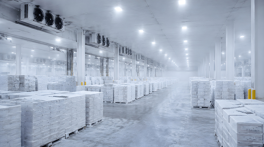 Cold Store Lighting