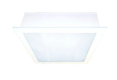 Dura view 2