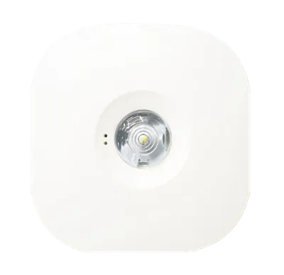 Emdot 2 Surface view 2