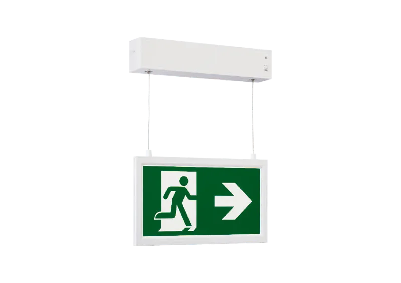 Emsusp - Architectural Luminaire specification image