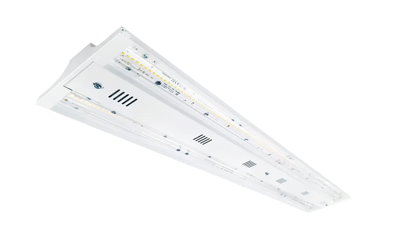 Organa - Architectural Luminaire specification image